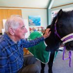 Miniature pony trots in and steals hearts at Hospice