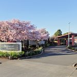 What you need to know about Arohanui Hospice – debunking hospice myths
