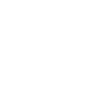 George+and+co Secondary+logo White